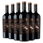 Toreto | Reserva De Familia | Cepas Tintas | Caja 6 Botellas 750 cc